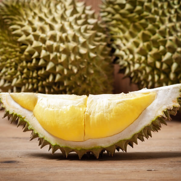 Oresco durian farm scenery