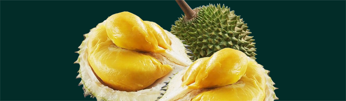 Durian Fruit, Musang King