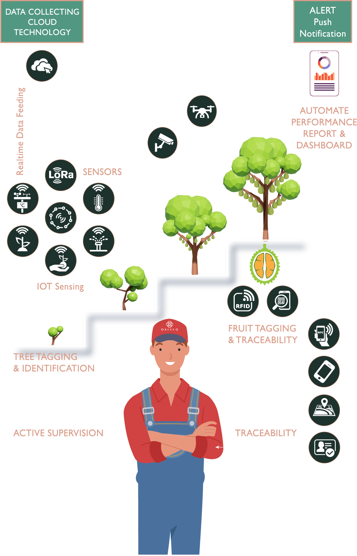 Our technology plantation management diagram chart