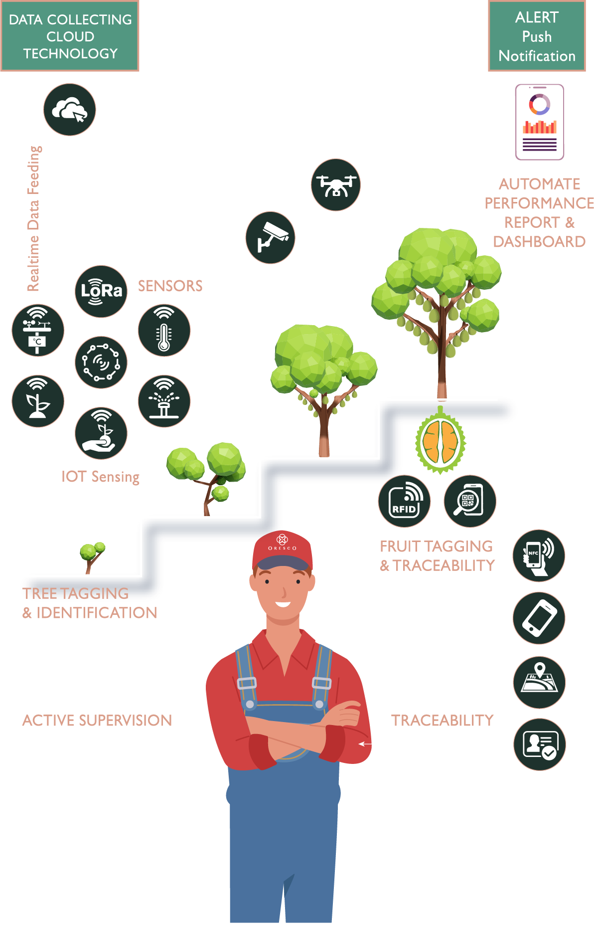 Oresco digitized plantation diagram chart