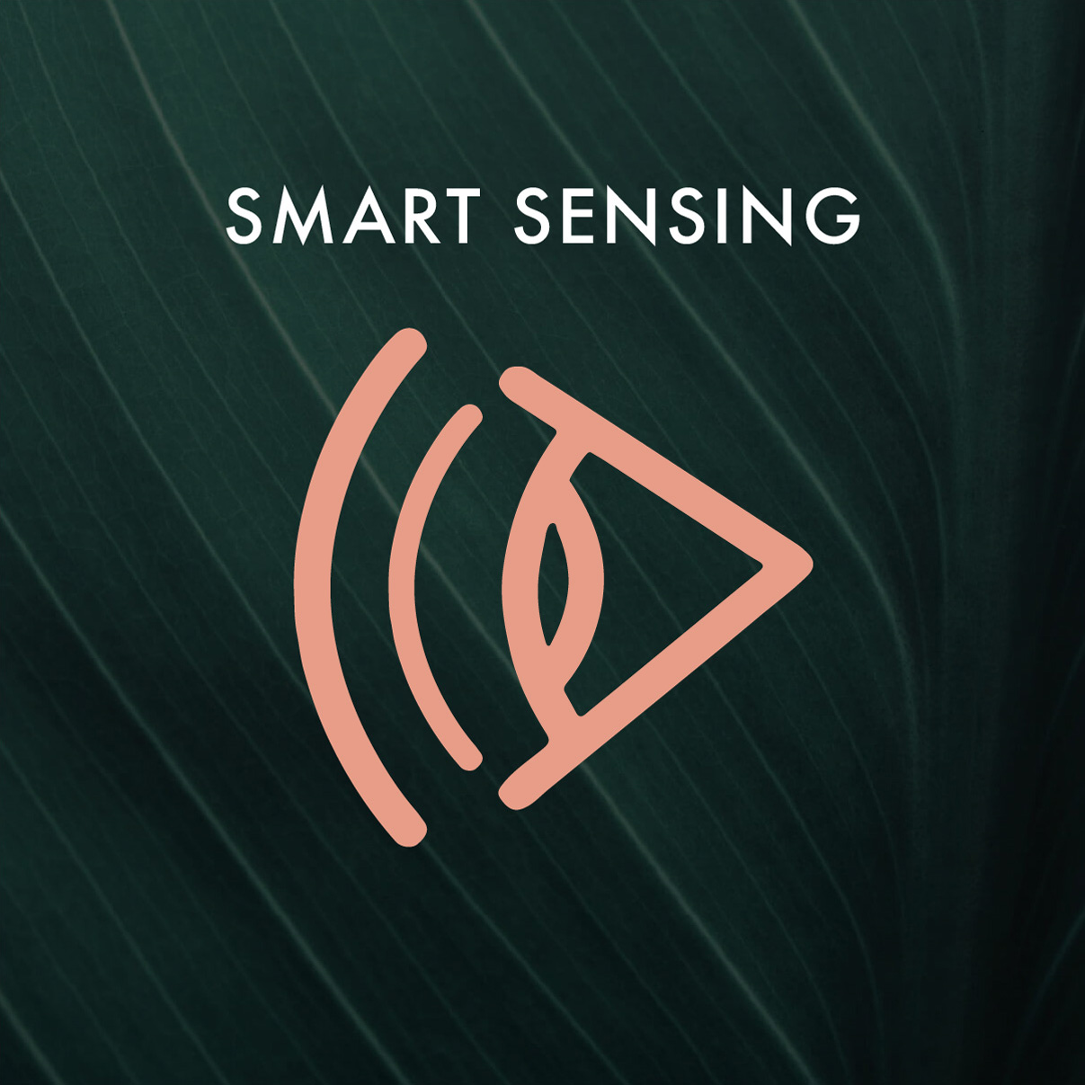 Smart Sensing